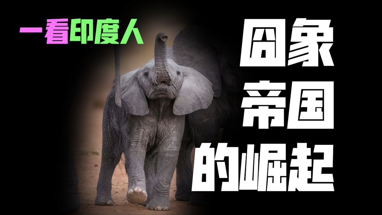 【一看印度人】从民族性看国家作为