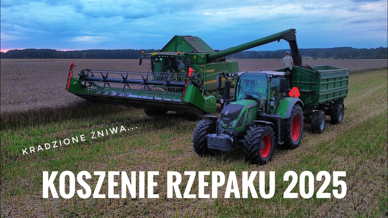Koszenie rzepaku 2k25 ahhh te kradzione żniwa...