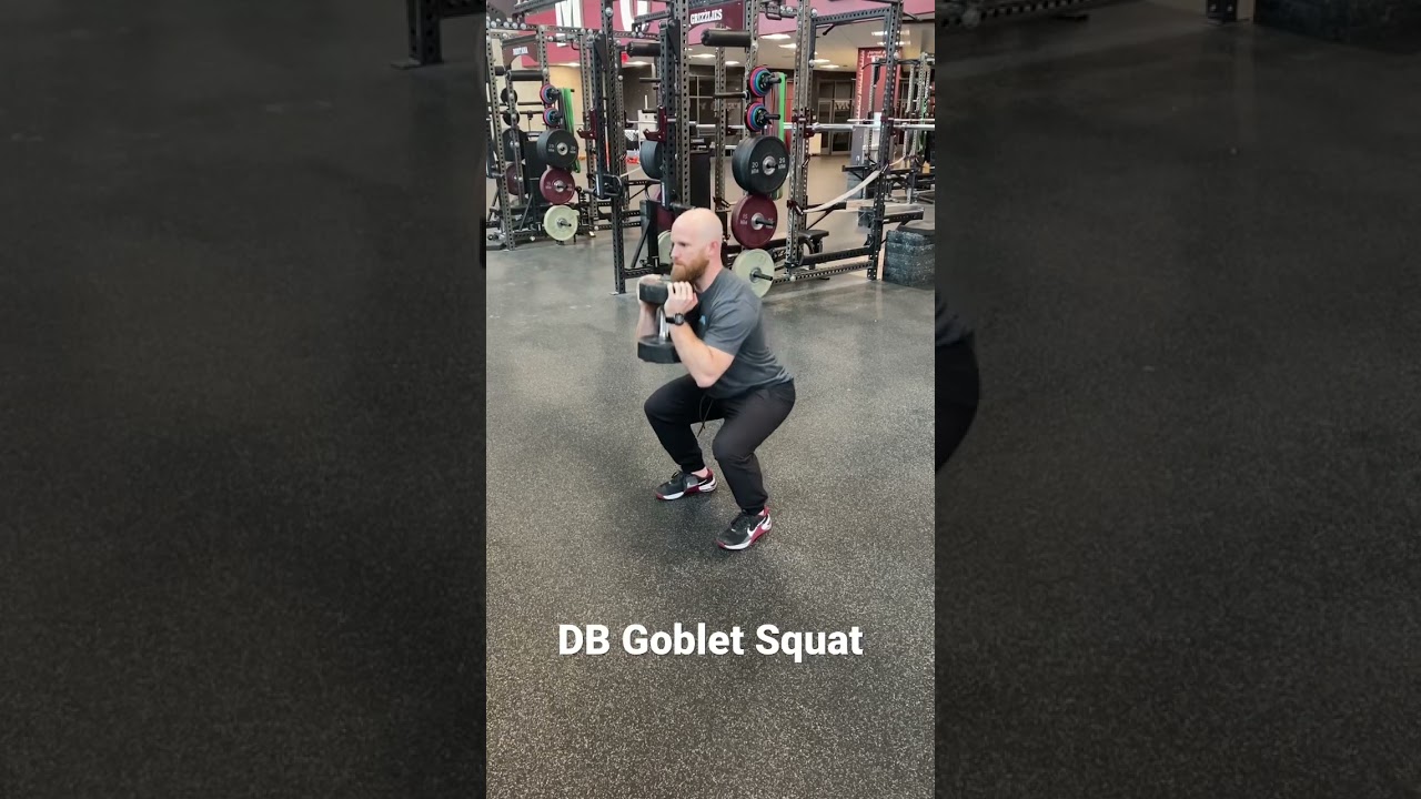DB Goblet Squat