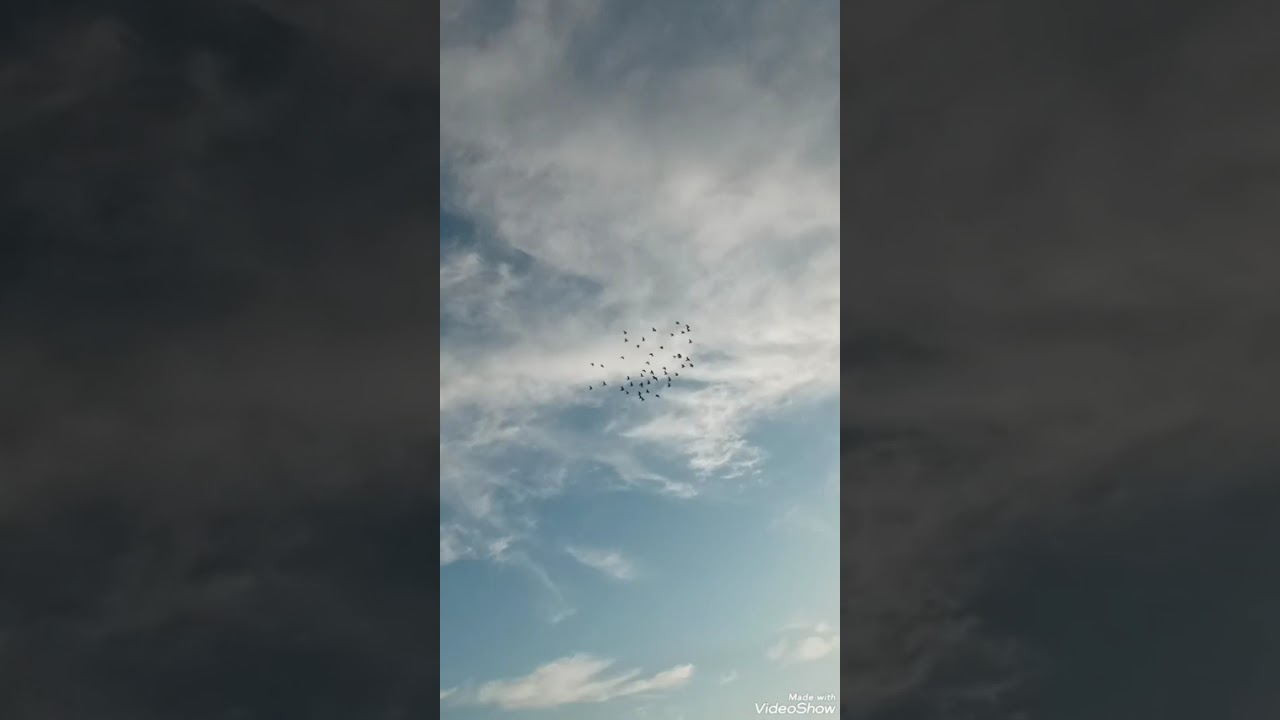 ٢٤ شباط ٢٠٢٦