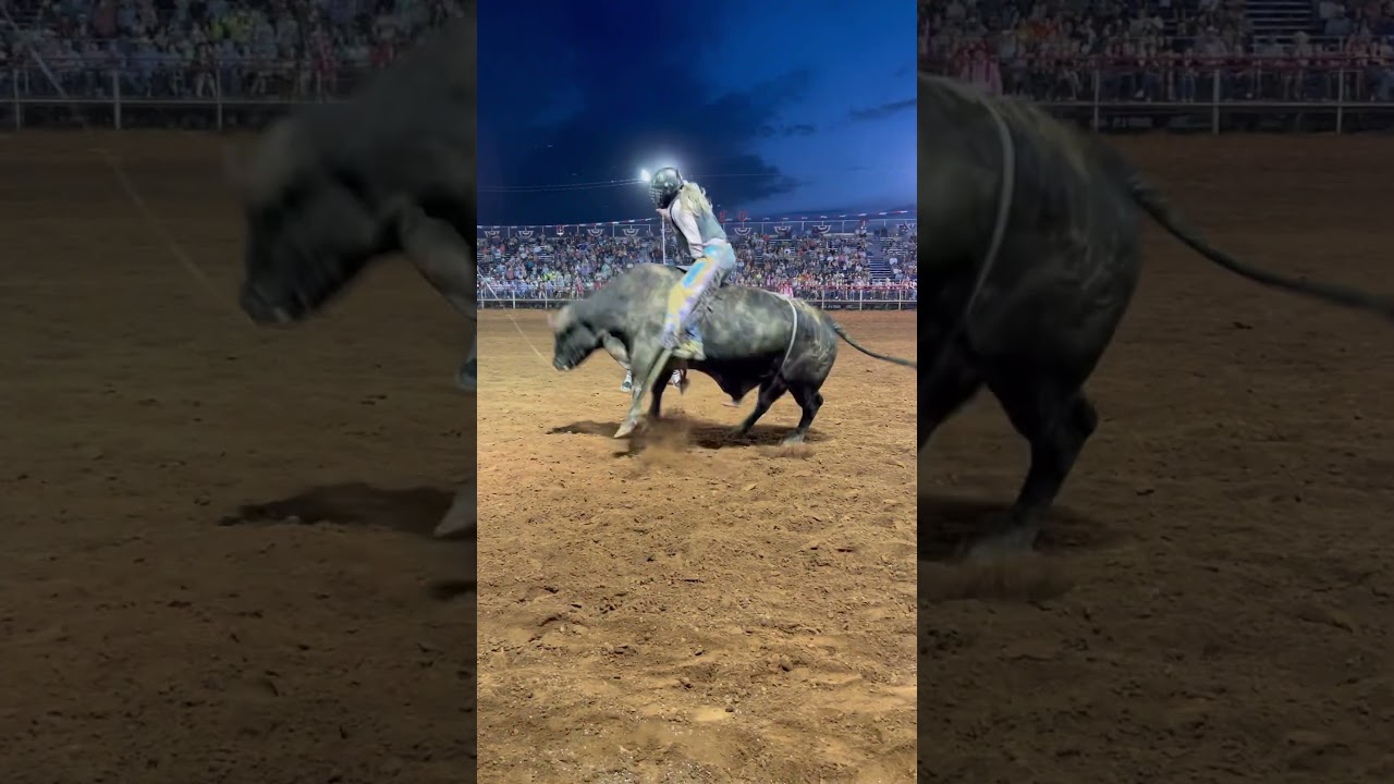 Girl Bull Rider #girl
