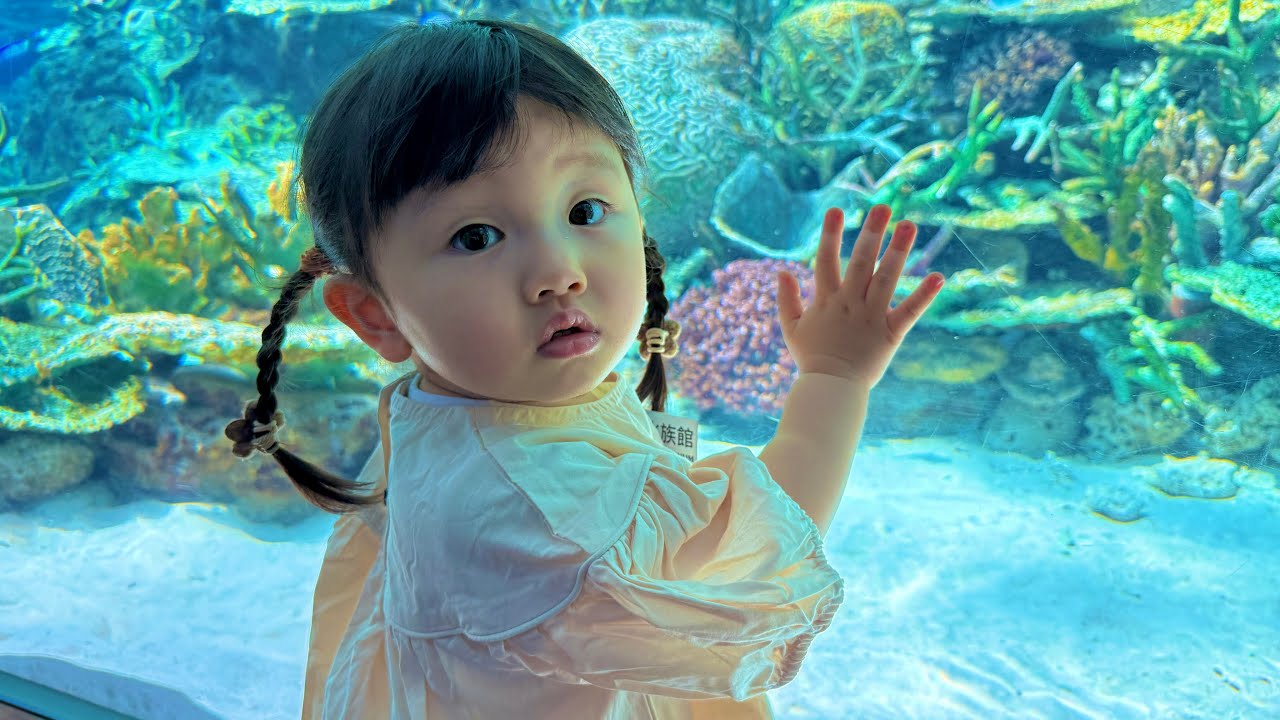 2歳の娘と行く念願の水族館デート！！