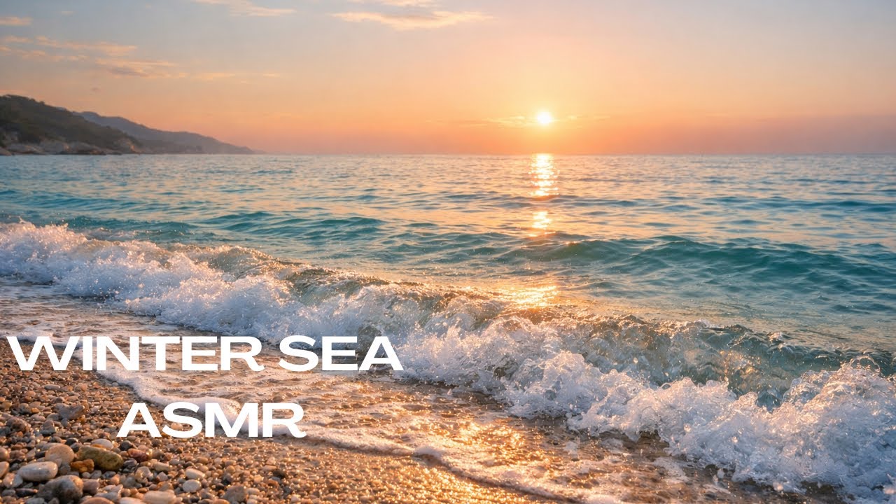 Moderate Winter Sea Waves 🌊 Calm Sunlit Seascape | 1.5 Hours ASMR Relaxation