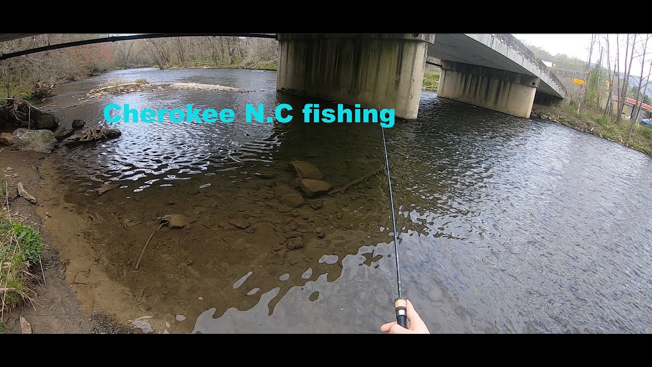 Cherokee N.C fishing
