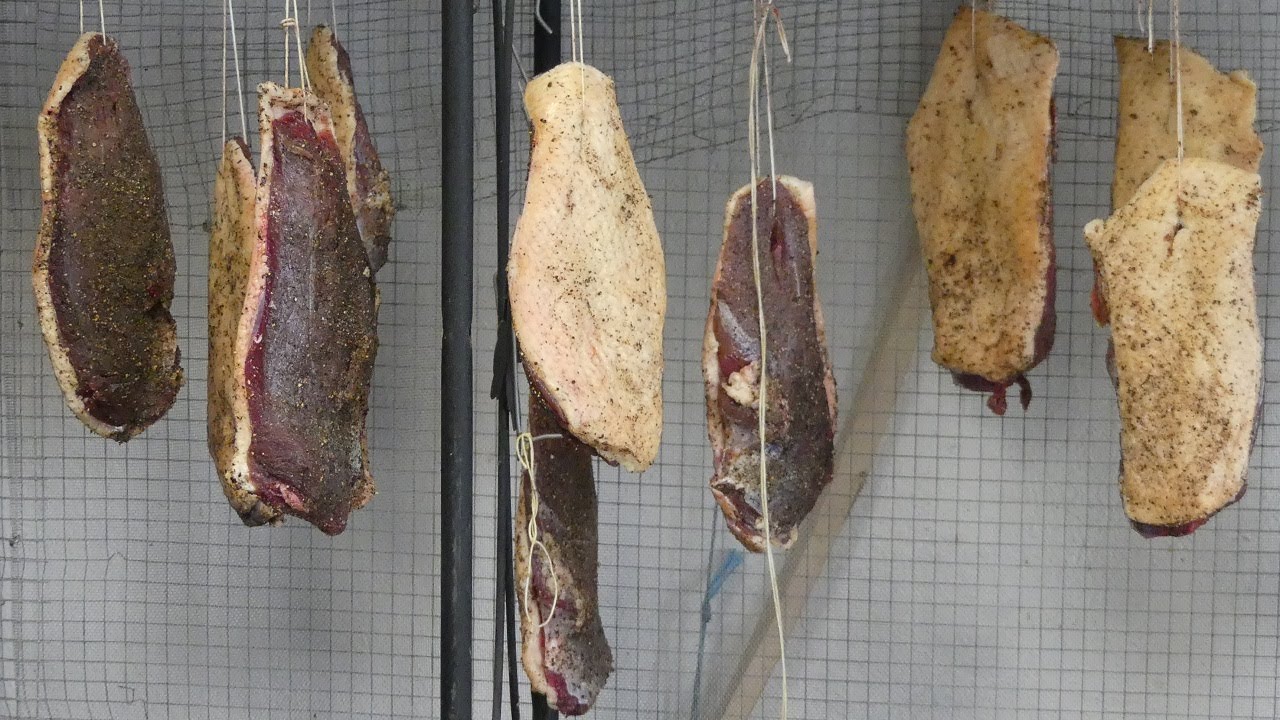 123# La cuisine du canard (jambon de canard, confits, rillettes, fritons)