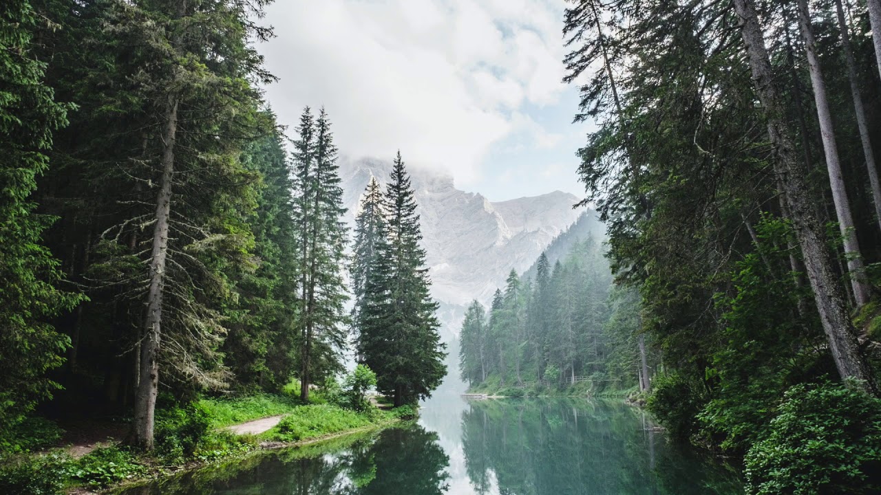 Vagushermon aktivointi-harjoitus/ Mindfulness