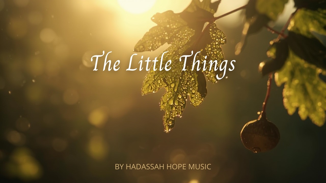 The Little Things | HH Music