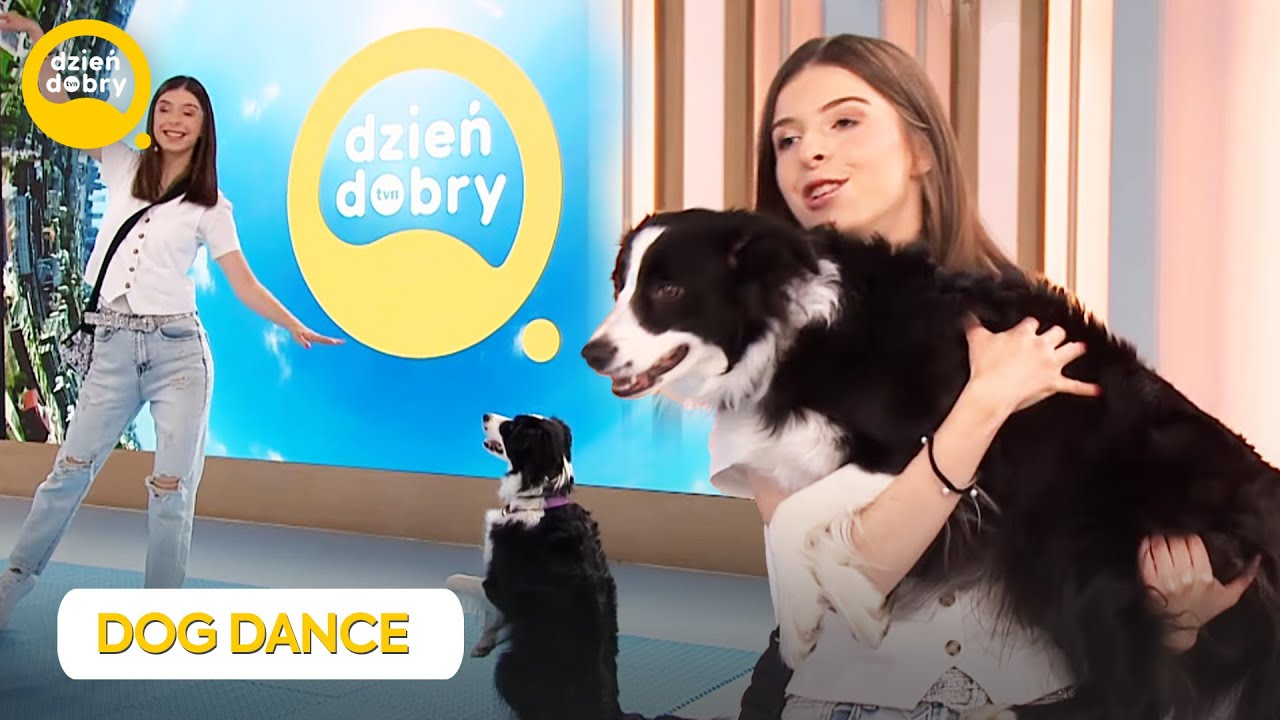 Dog dancing - jak nauczyć psa choreografii? 💃🐕 | Dzień Dobry TVN