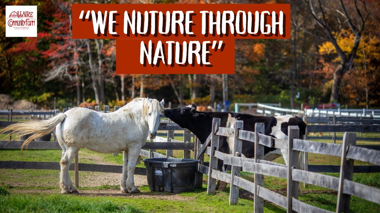 Allaire Community Farm | We Nurture Through Nature