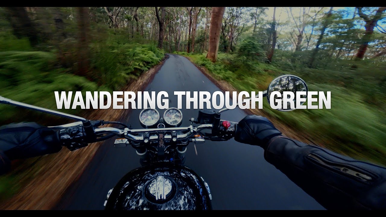 Wandering Through Green - A Ride Into the Heart of the Forest