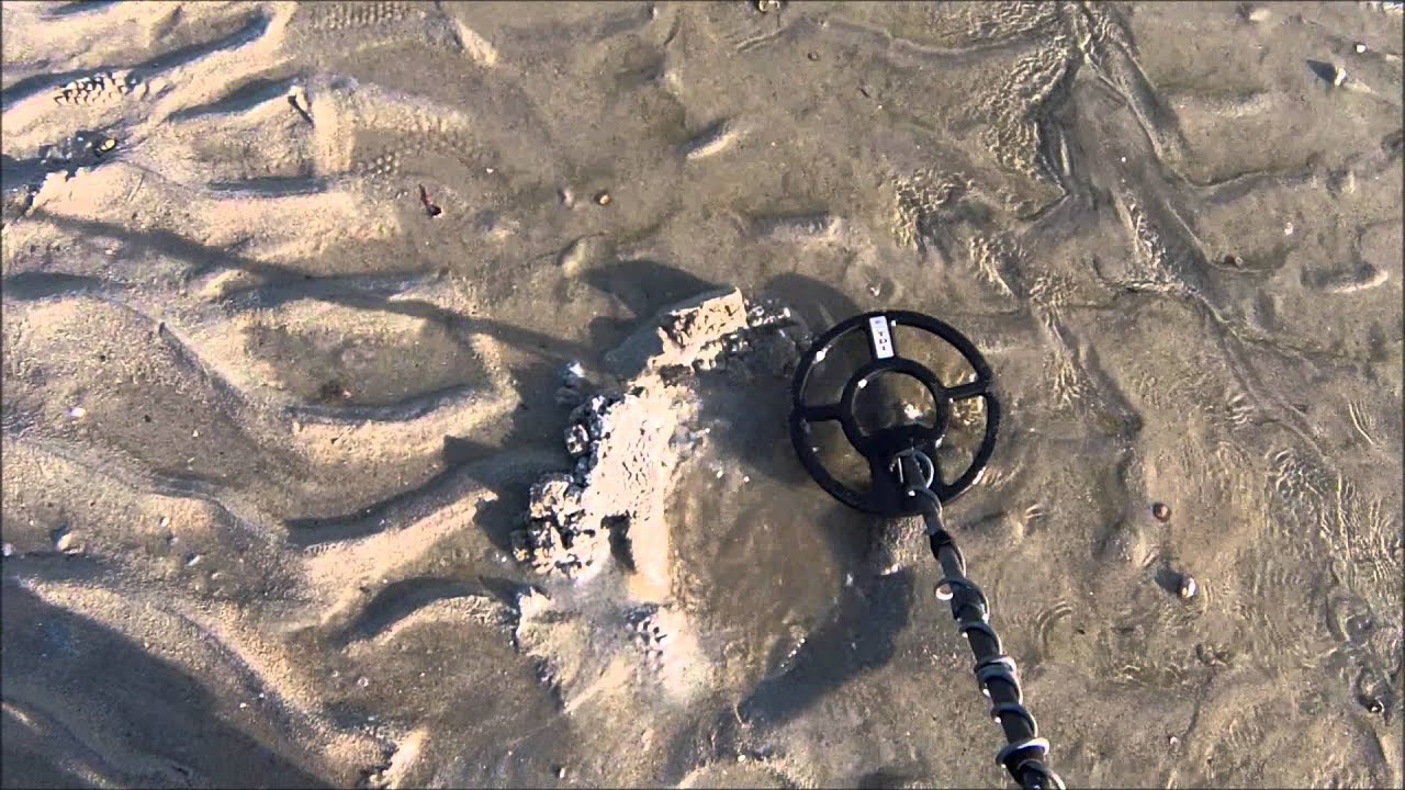 Whites TDI Pro Pulse Metal Detector at the BEACH