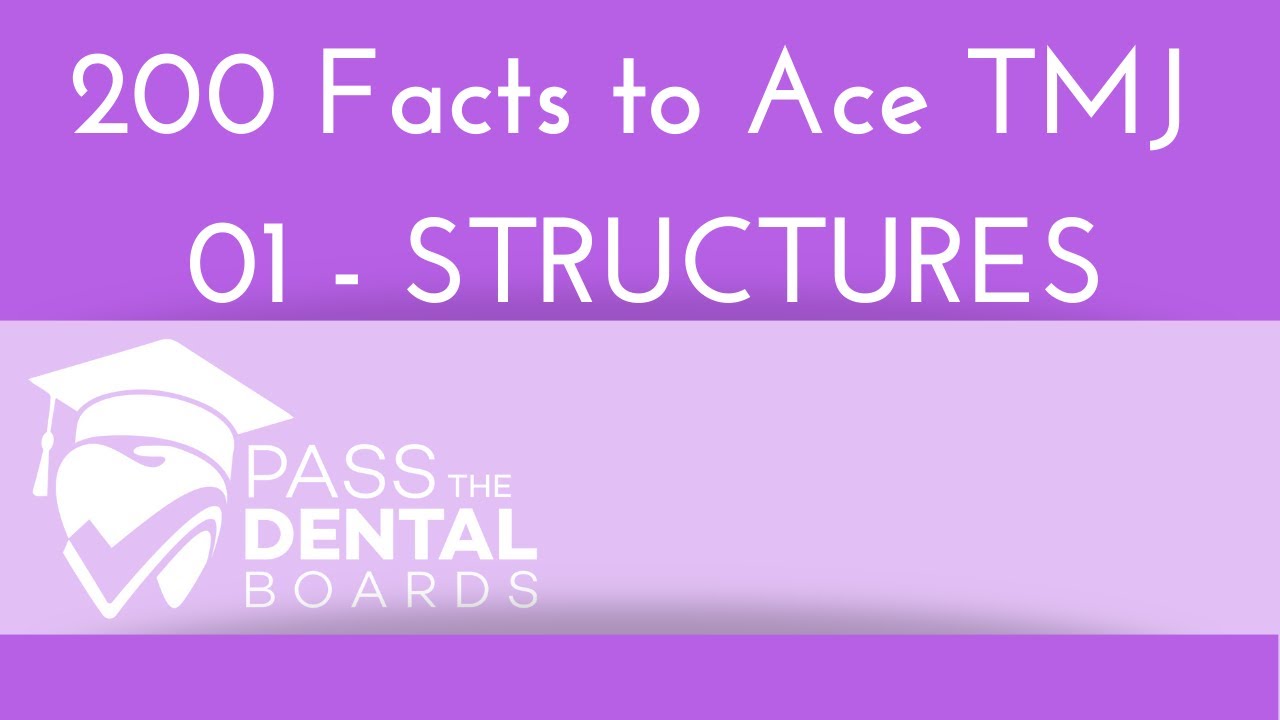 200 Facts to ACE the TMJ (Temporomandibular Joint)*2020 UPDATE* 01 Structures, Articular disc, INBDE