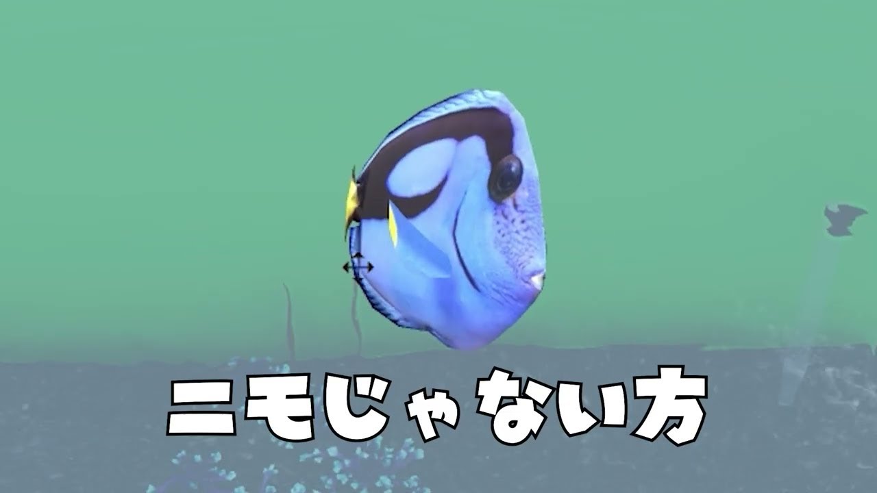 客の水槽を勝手にぜんぶ売って儲けるアクアリスト
