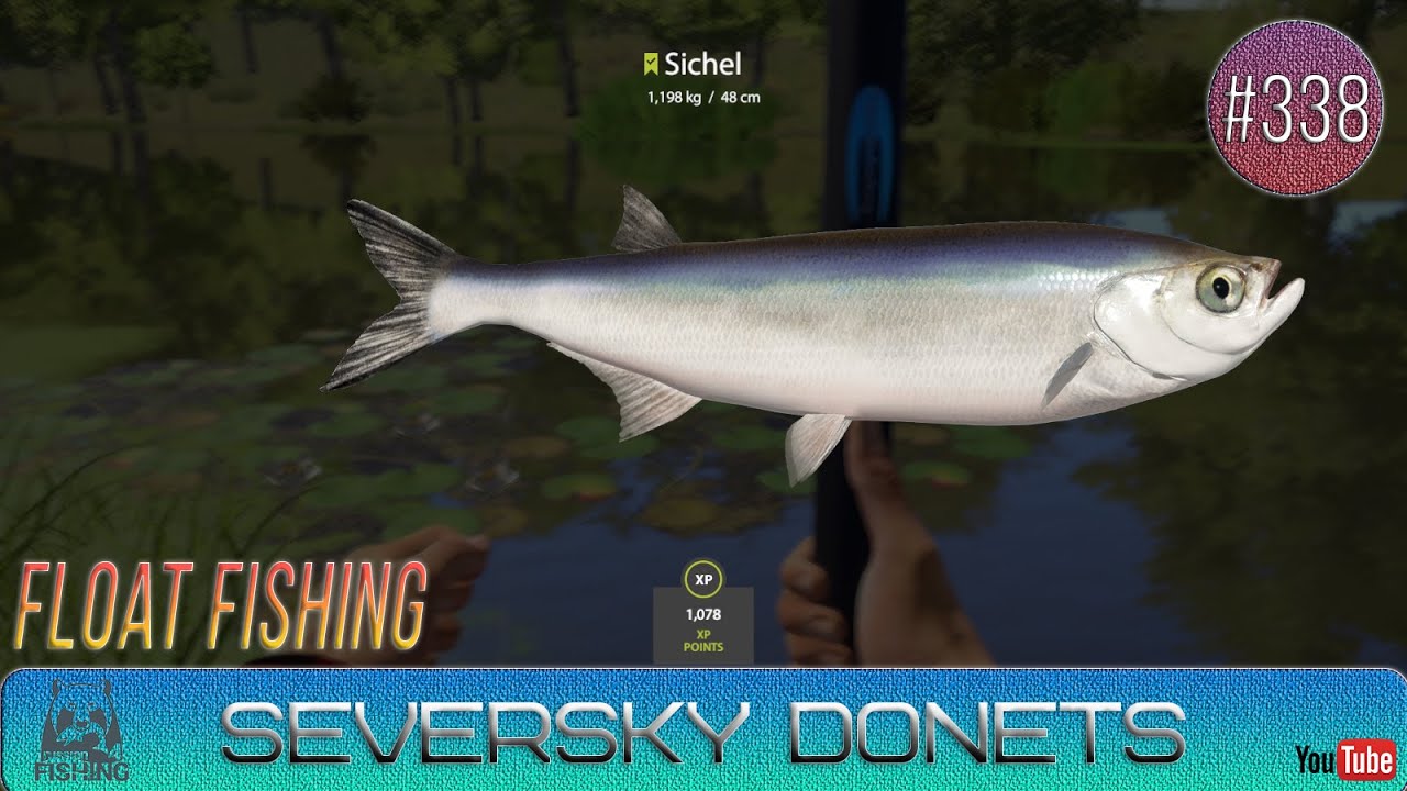 Russian Fishing 4 - Seversky Donets River - Float Fishing - #338