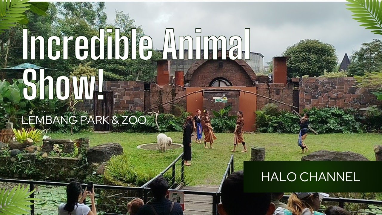 Lembang Park & ​​Zoo Amphitheater | Animal Show
