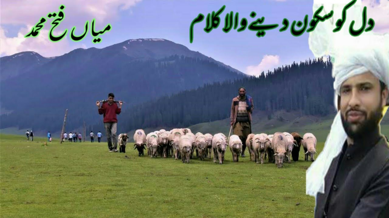 GojriBait ||Kalaam Main fateh  Mohammad ||Awaaz Mohammad Shabir||gojribait||NewGojriBait||dukhibait