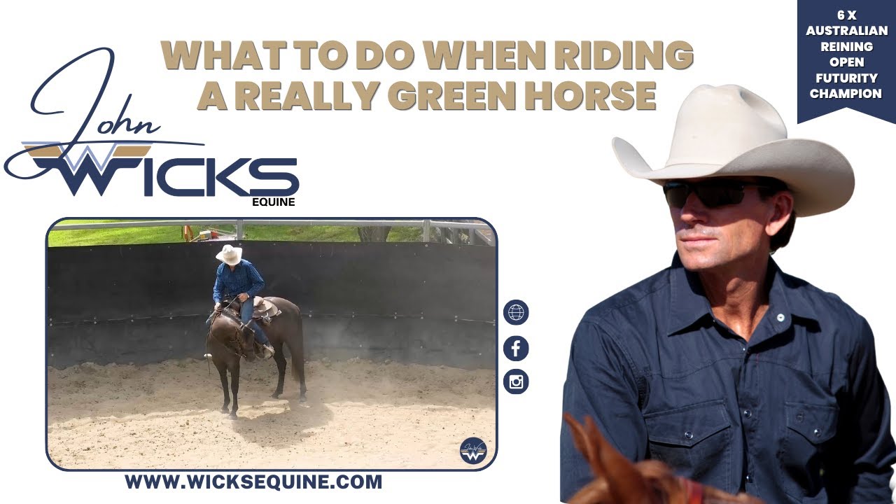 What to do when Riding a really Green Horse