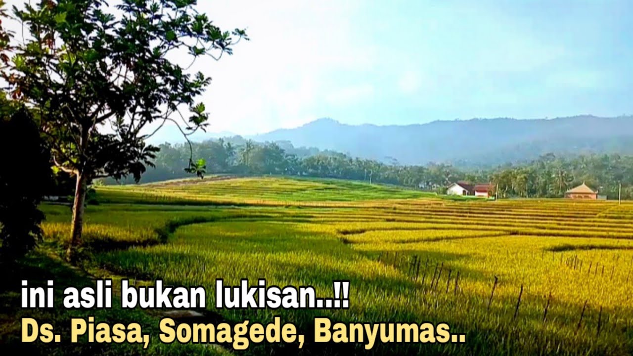seperti lukisan..!! suasana keindahan alam desa, dan keramahan warga desa ini bikin orang terpesona.