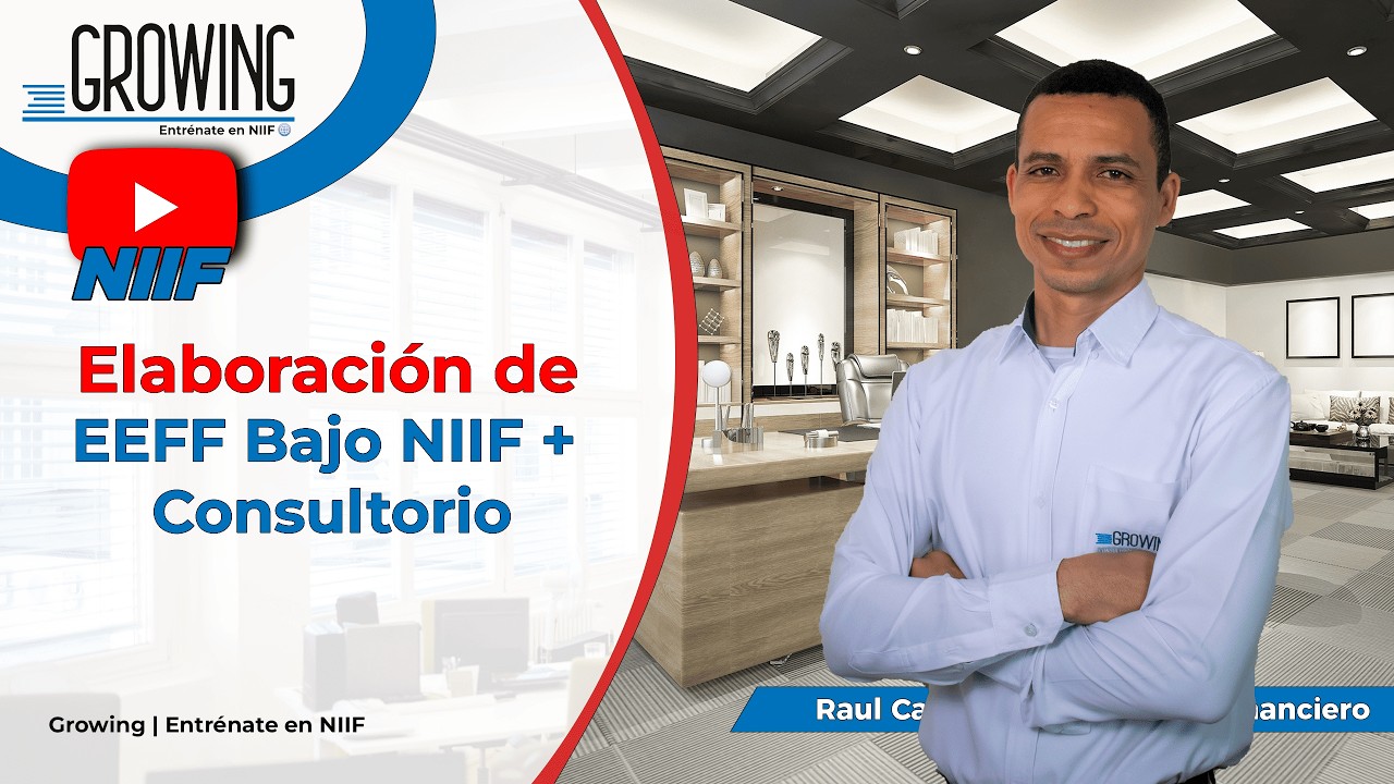 Elaboración de Estados Financieros bajo NIIF + Consultorio