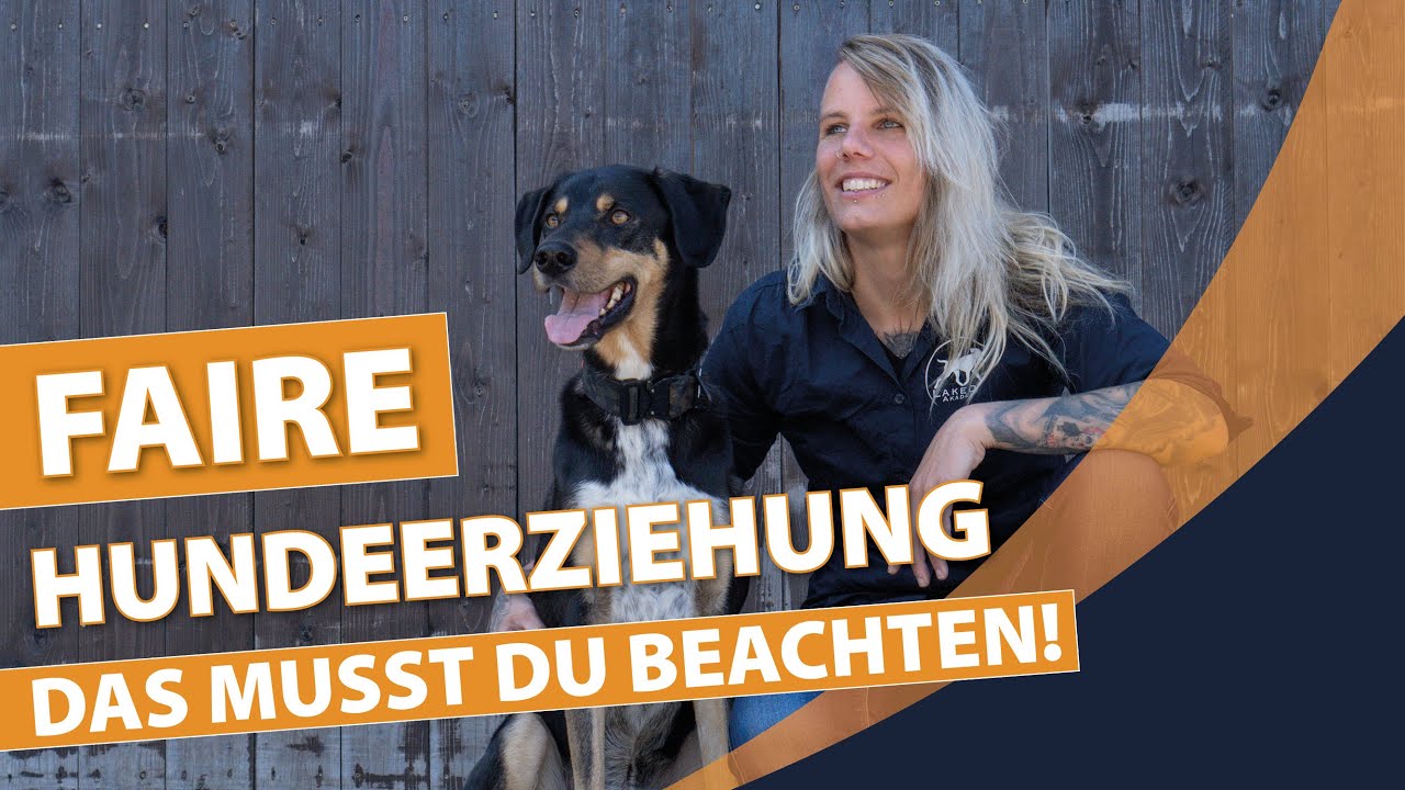 So ticken Hunde - Erfolgskonzept für die Hundeerziehung
