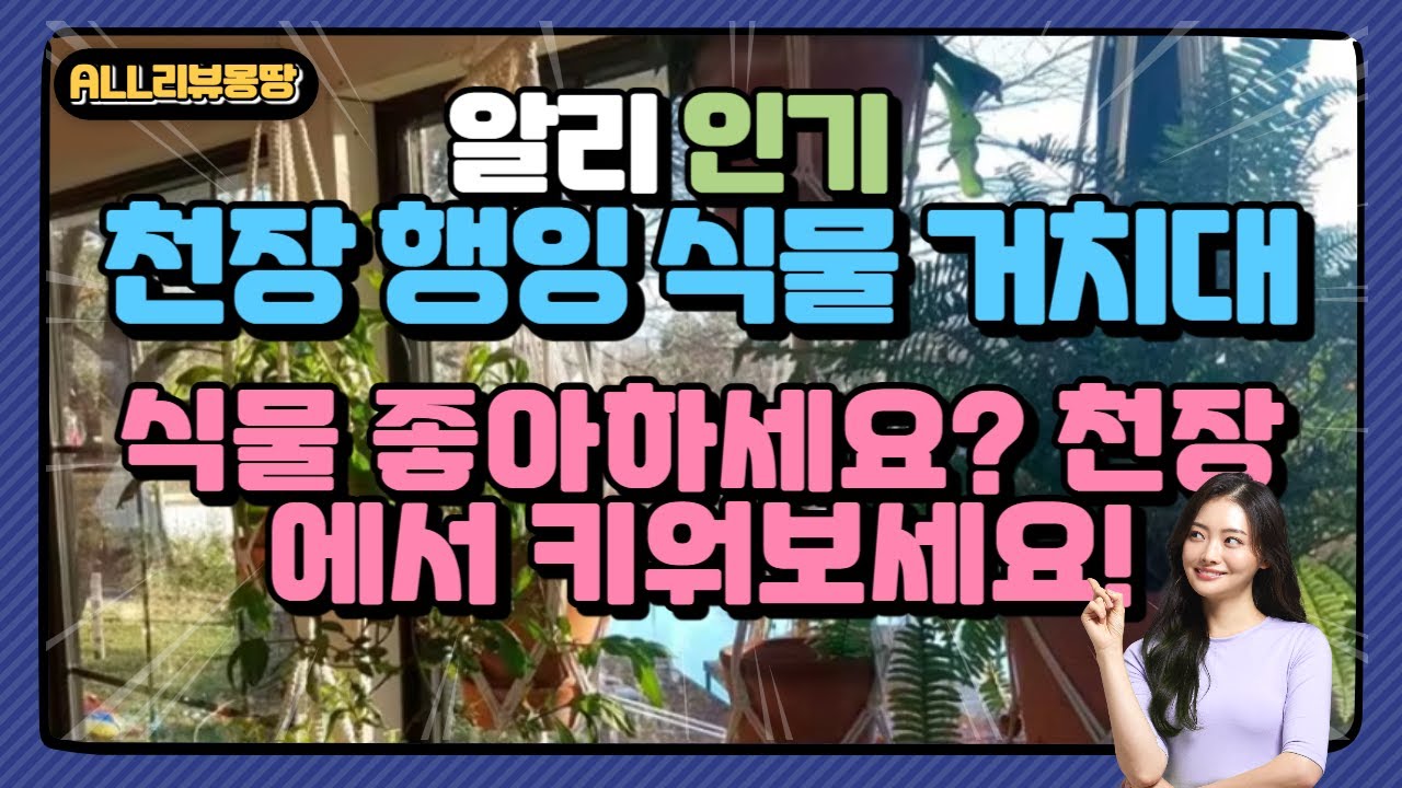 식물 좋아하세요? 천장에서 키워보세요! 알리 천장 행잉 식물 거치대