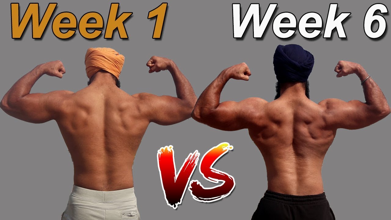 NATURAL BODY TRANSFORMATION-PHYSIQUE UPDATE || WEEK6 || Daman Singh