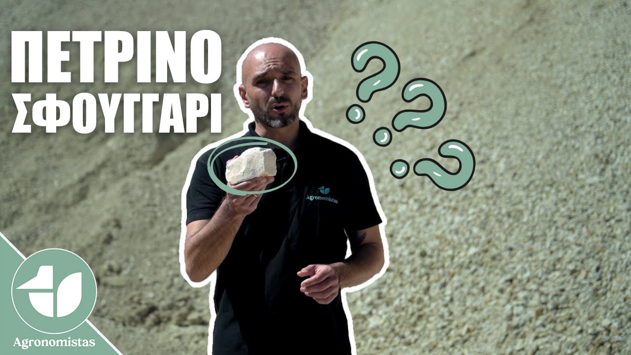 Что такое ЦЕОЛИТ?