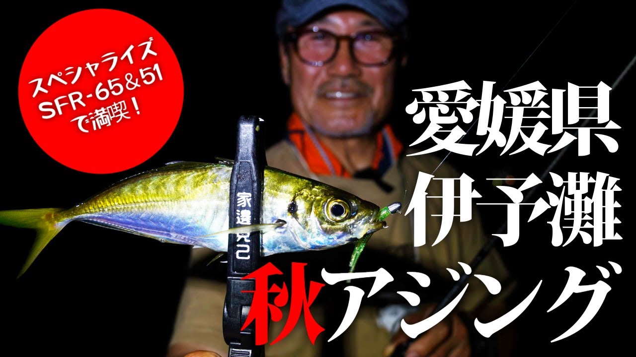 愛媛県伊予灘の秋アジング／SFR-65＆51で夕マヅメとナイトゲームを満喫