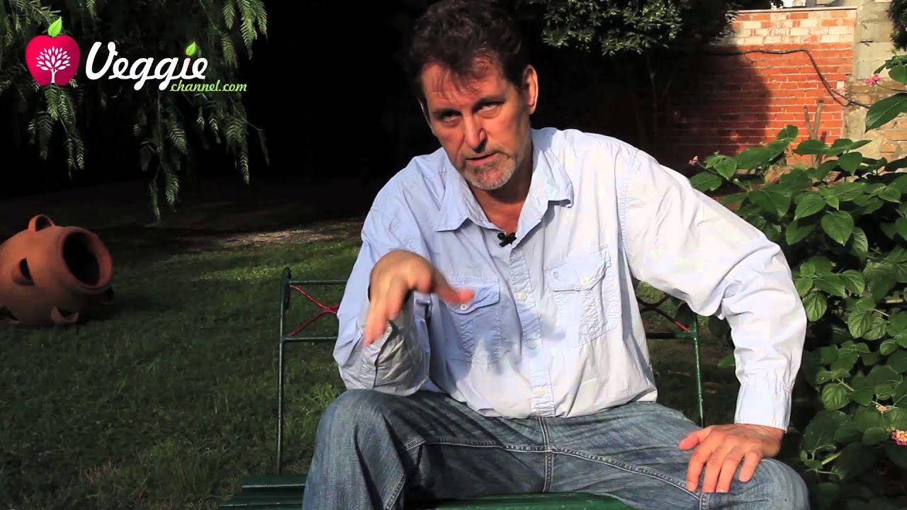 Steve Best - The best diet for humans