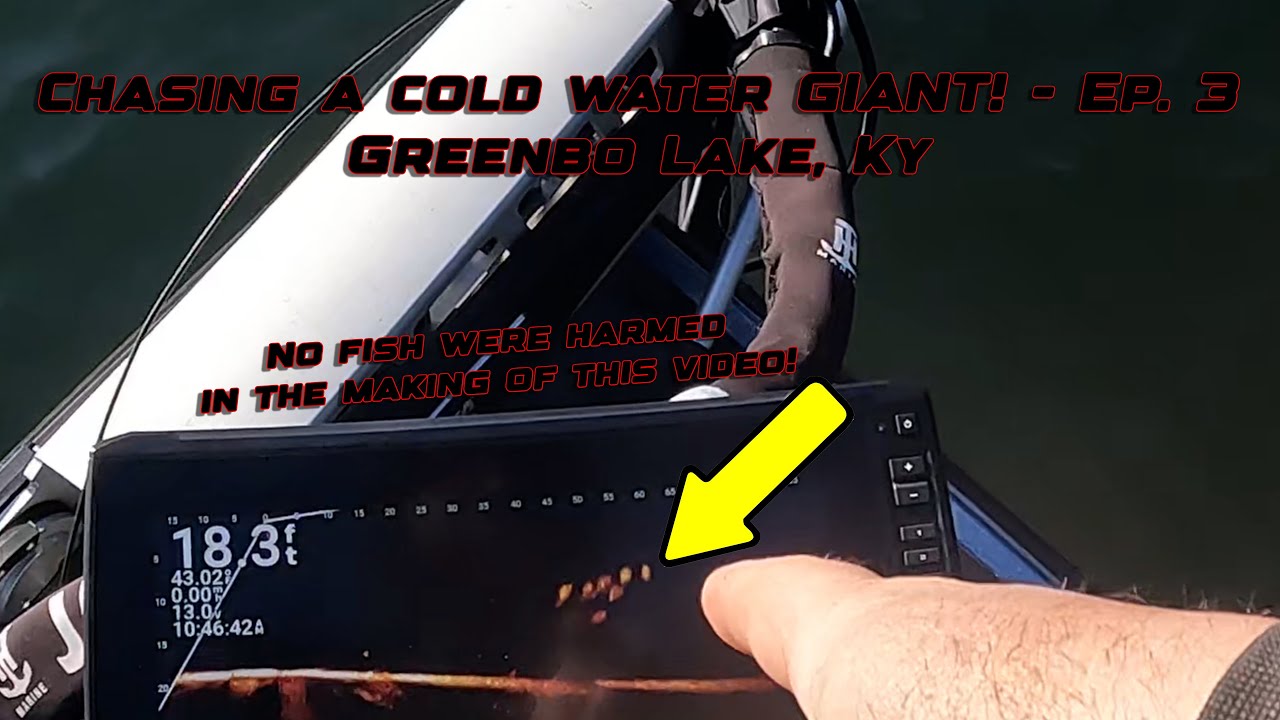 Chasing a COLD WATER Giant - Episode 3 - Lake of the GIANTS...Greenbo Lake, Kentucky.