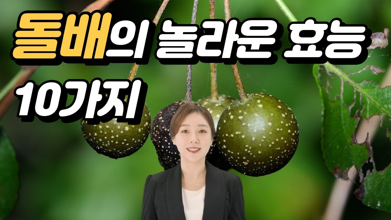 돌배의 놀라운 효능 10가지, 배나무