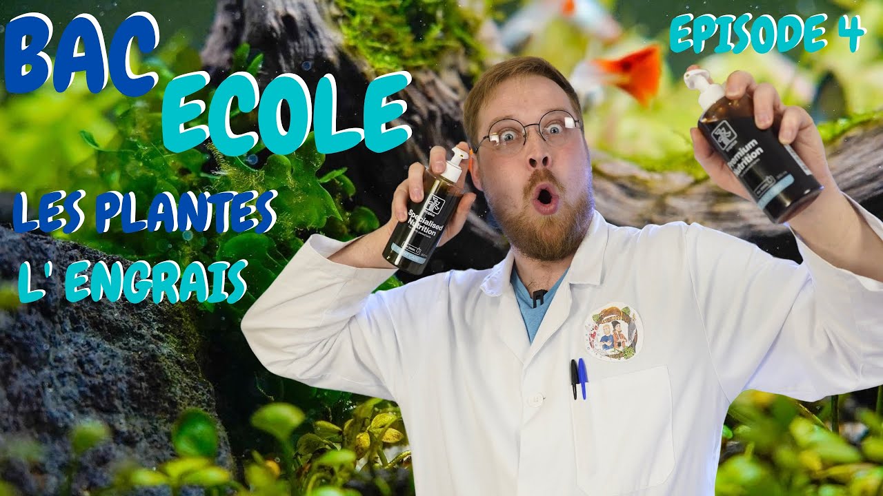 EPISODE 4 ! L' ENGRAIS et LES PLANTES AQUATIQUES ! BAC ECOLE [ ANI' MOOD ]