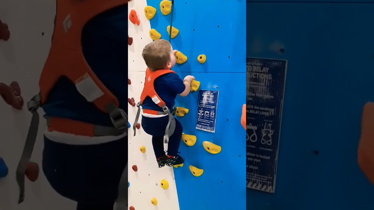 DO IT! 3 year old #climbing there's #noexcuses get kids doing #rockclimbing #unschool #shorts
