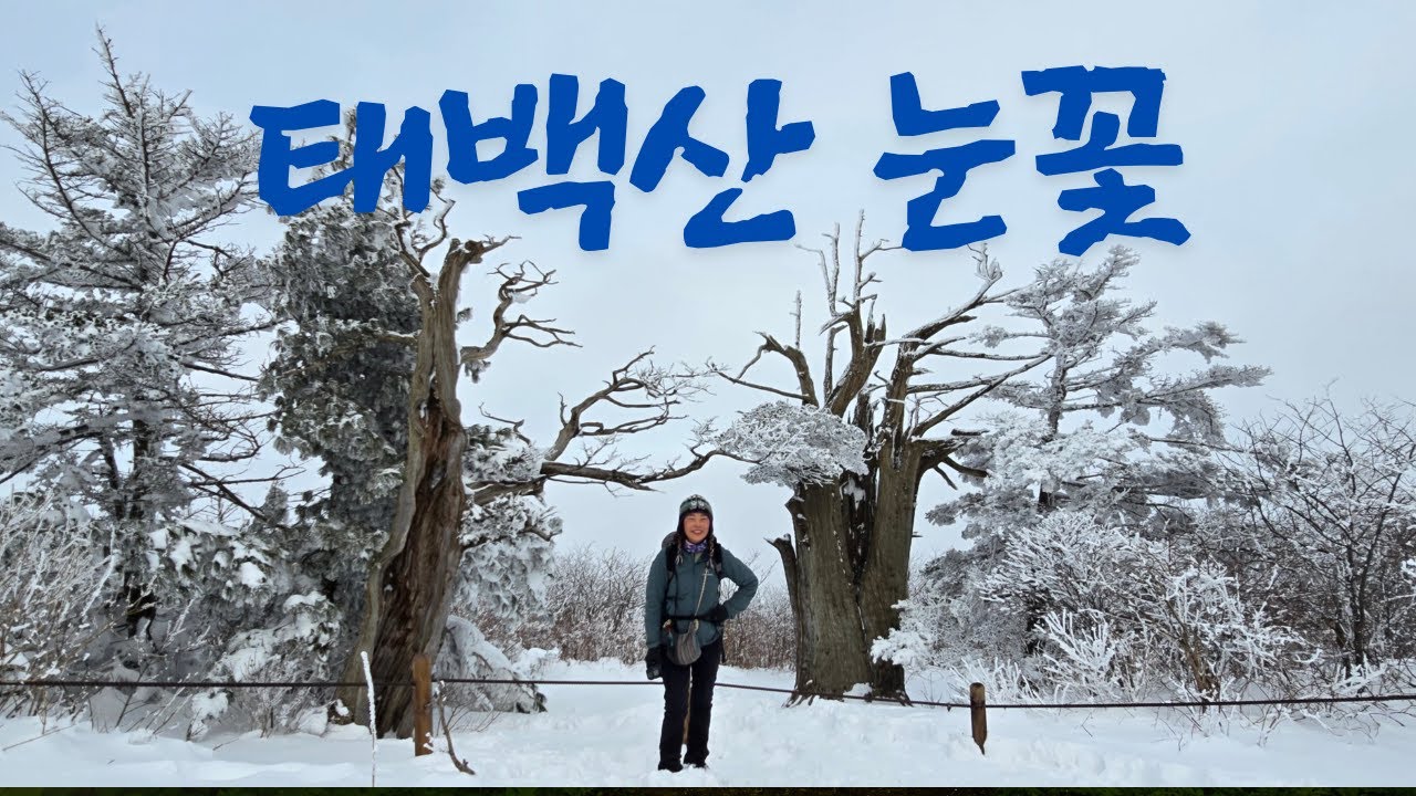[4k]태백산 설경 최고 멋진코스 #문수봉 가는길