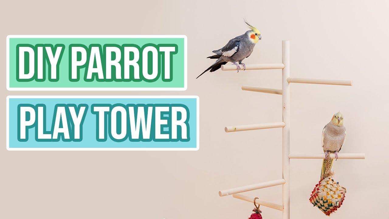 DIY Simple Bird Stand (Made of Wood Dowels) 🦜