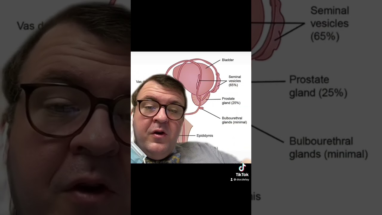 Does a vasectomy change how much you ejaculate? #vasectomy #ejaculation￼