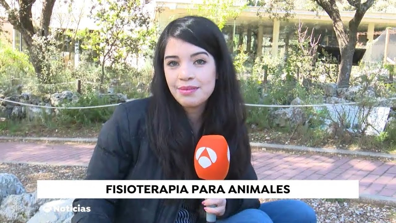 Hospital fauna salvaje (GREFA) | Antena 3 Noticias