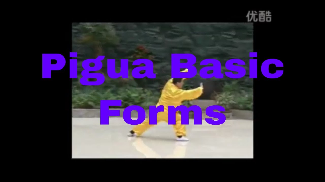 Pigua Zhang 劈挂拳 - First and Second Road