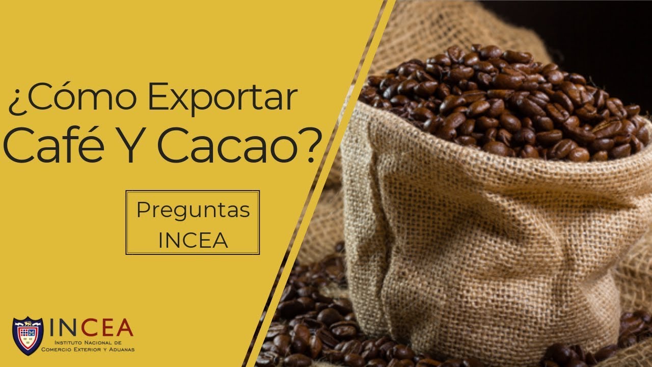 ¿Cómo Exportar Café Y Cacao? | Preguntas INCEA
