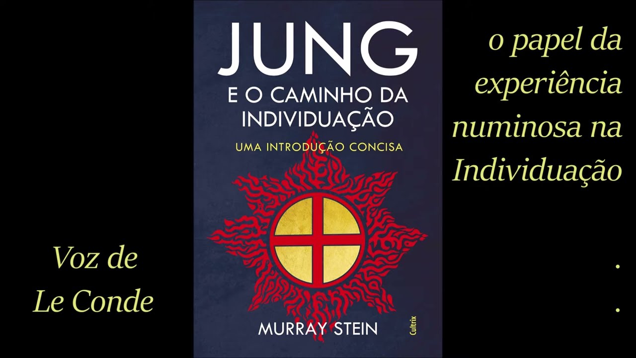 Murray Stein - Jung e o Caminho da Individuação [2 - papel da experiência numinosa na Individuação]