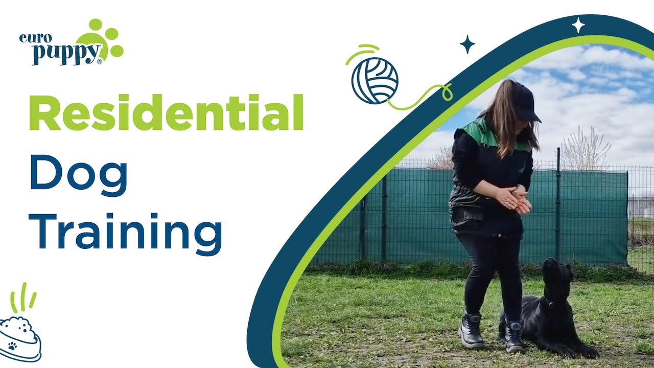Euro Puppy Residential Dog Training