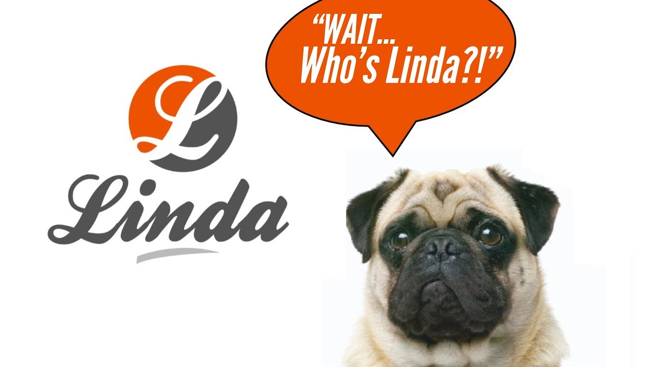 Who Is Linda Coin and Where Is It Going? Where to buy LINDA Coin Project