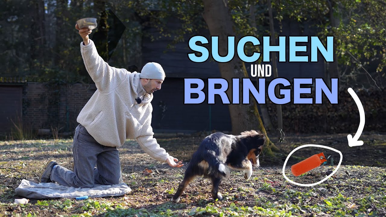 SO lernt dein Hund das SUCHEN und BRINGEN!