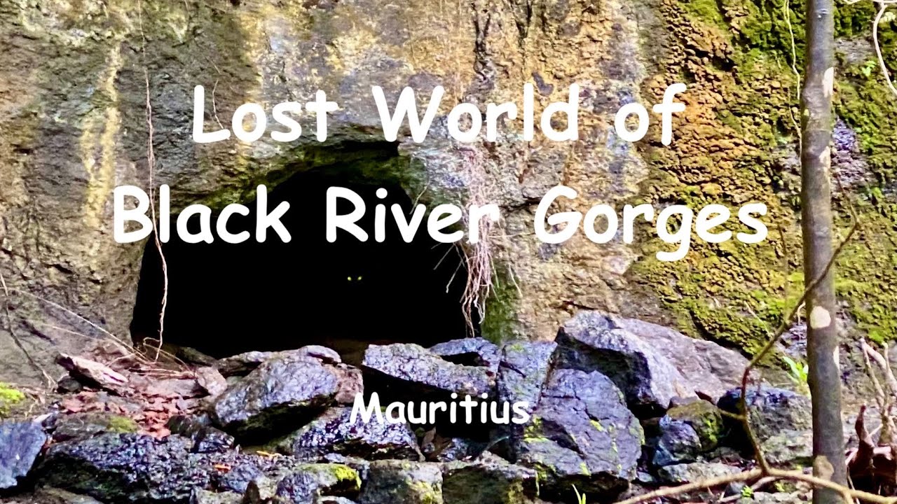 Mauritius by MovArt. Lost World of Black River Gorges