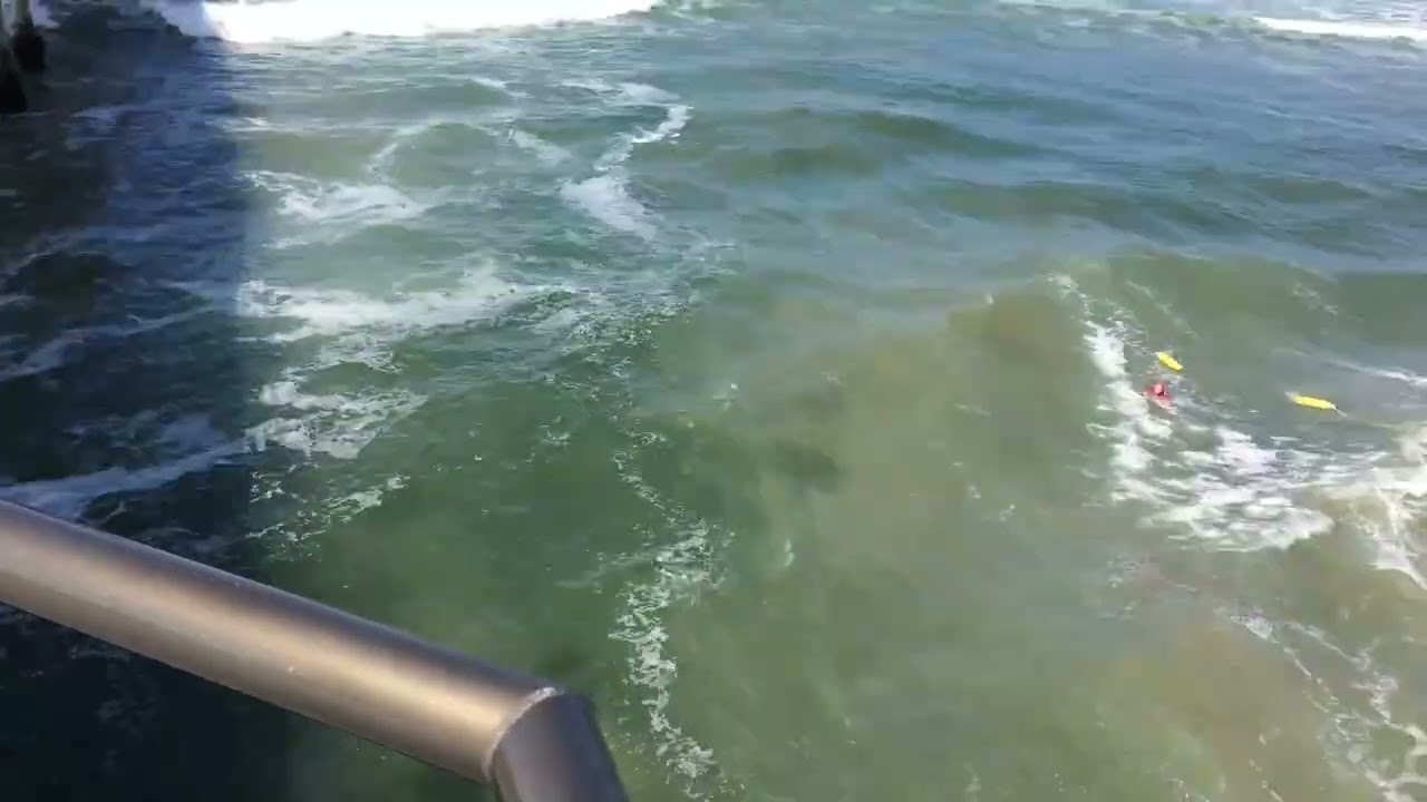 Rip Current - Action