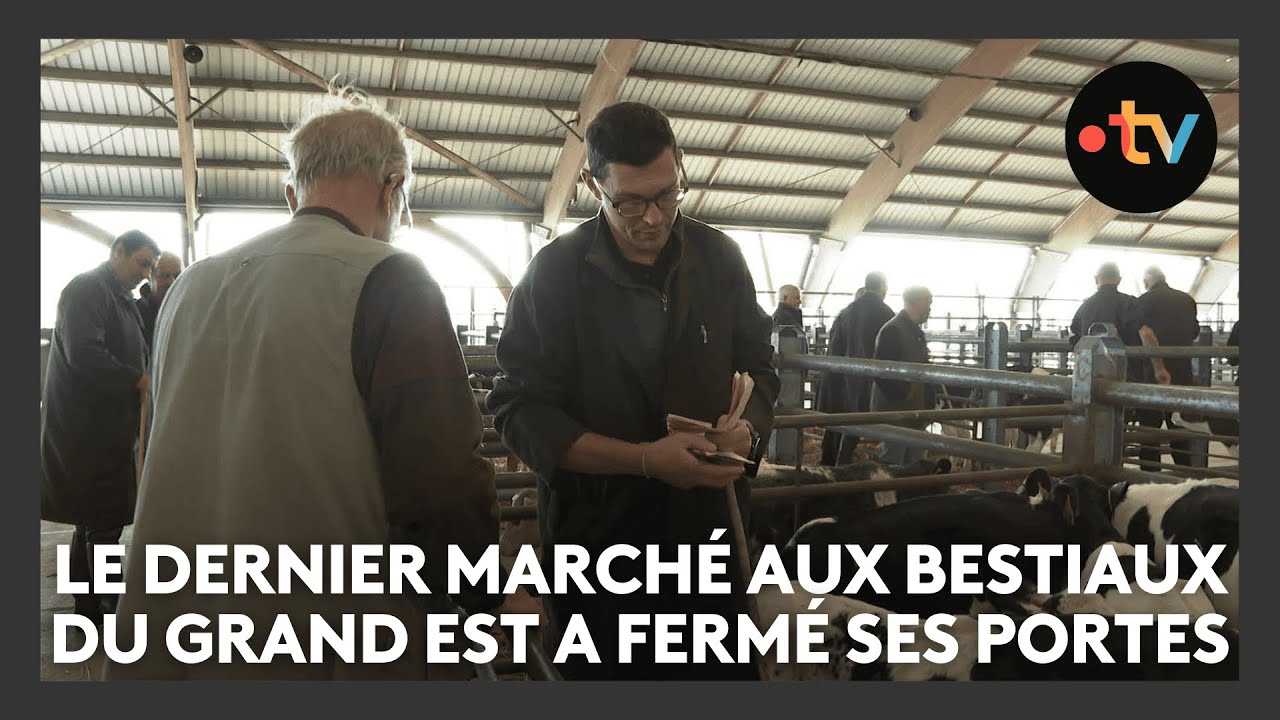 Le dernier marché aux bestiaux du Grand Est a fermé ses portes après 50 ans d'existence