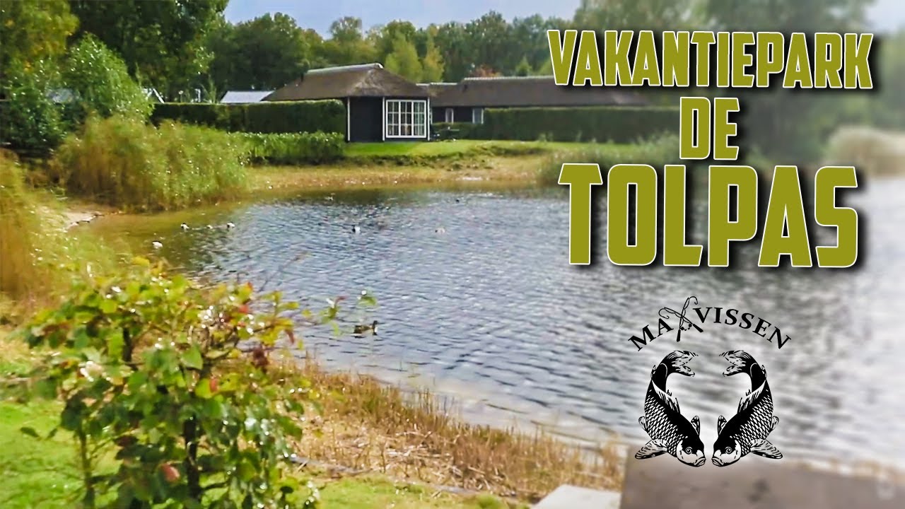 Karpervissen op vakantiepark De Tolplas - Maxvissen #97