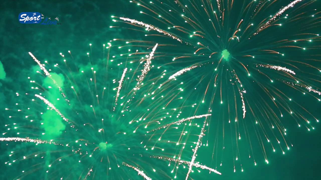 Das Feuerwerk im Westfalenpark !