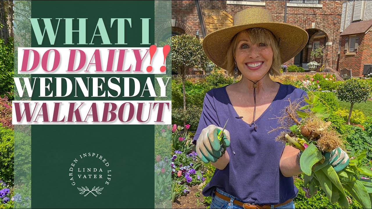 Daily Garden Routine: WW