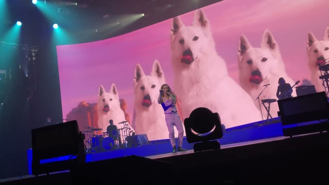 Waf ! - Julien Doré @ Zénith de Nancy
